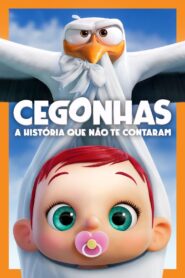 Cegonhas: A História Que Não Te Contaram (2016)